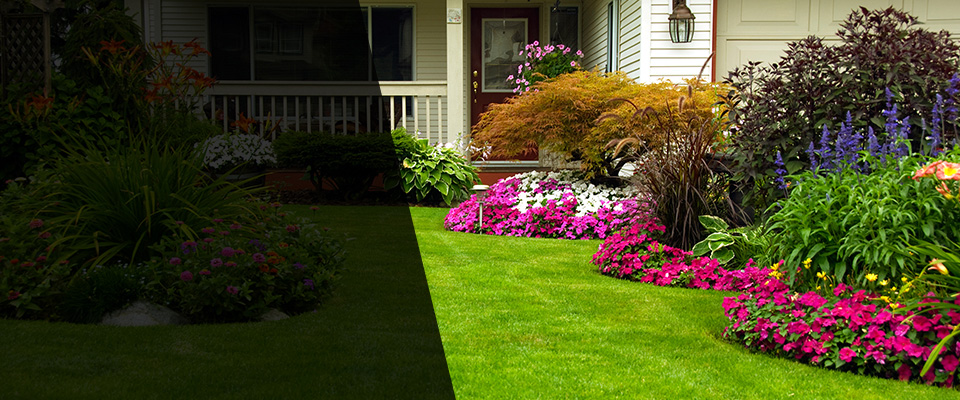 Wingdale Landscapers