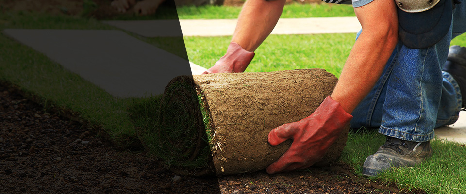 Wingdale Landscapers